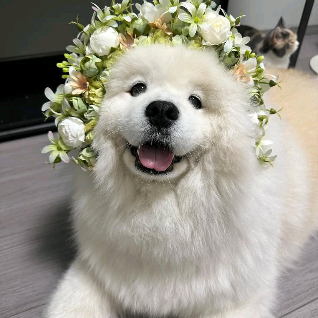 噔噔