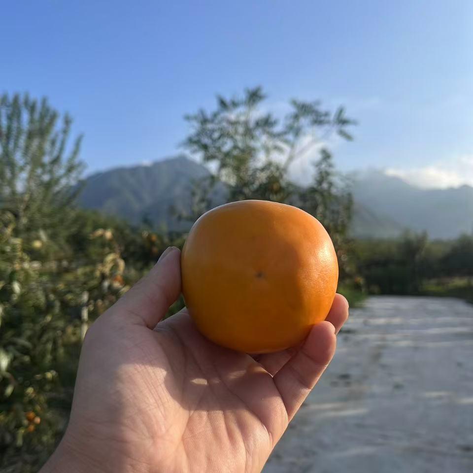 静欣农副产品店