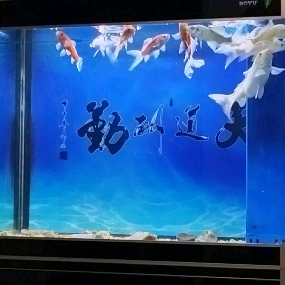 平安是福🙏🙏🙏