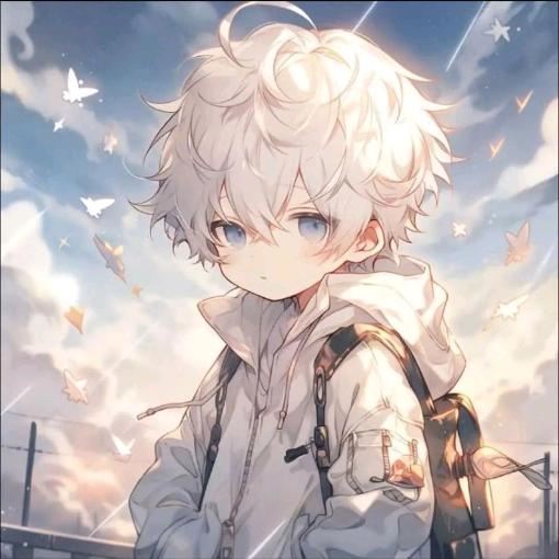 聪明的小吴鲨鲨