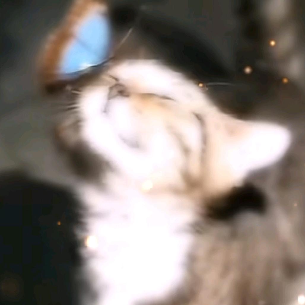 娇王子