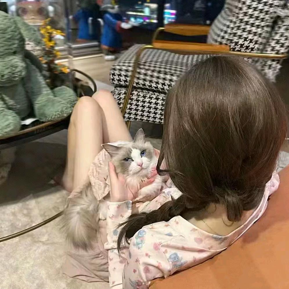 微醺小猫∞