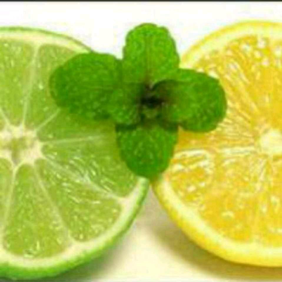 ⋋✿柠 ⁰ o ⁰ 檬✿⋌