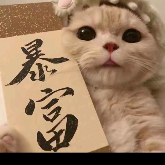 刘❤️公💙子💗