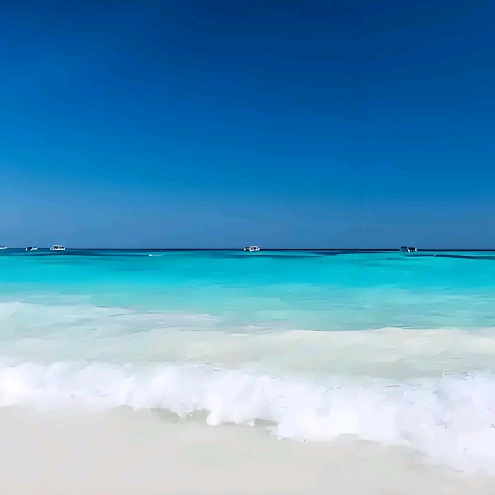 海浪🌊
