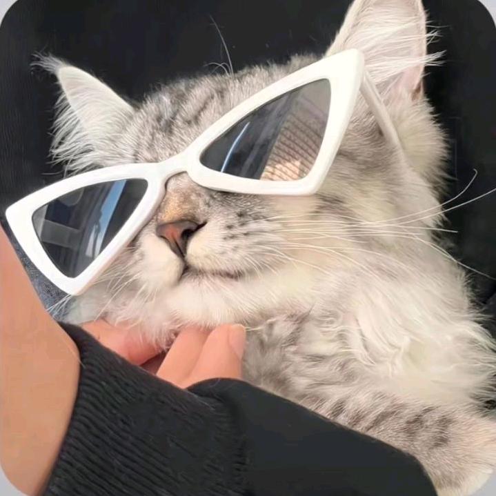 小小小小张