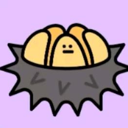 小星星✨