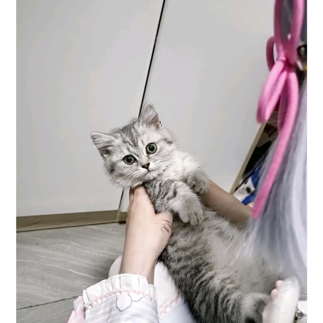 小初.“🏳️‍🌈