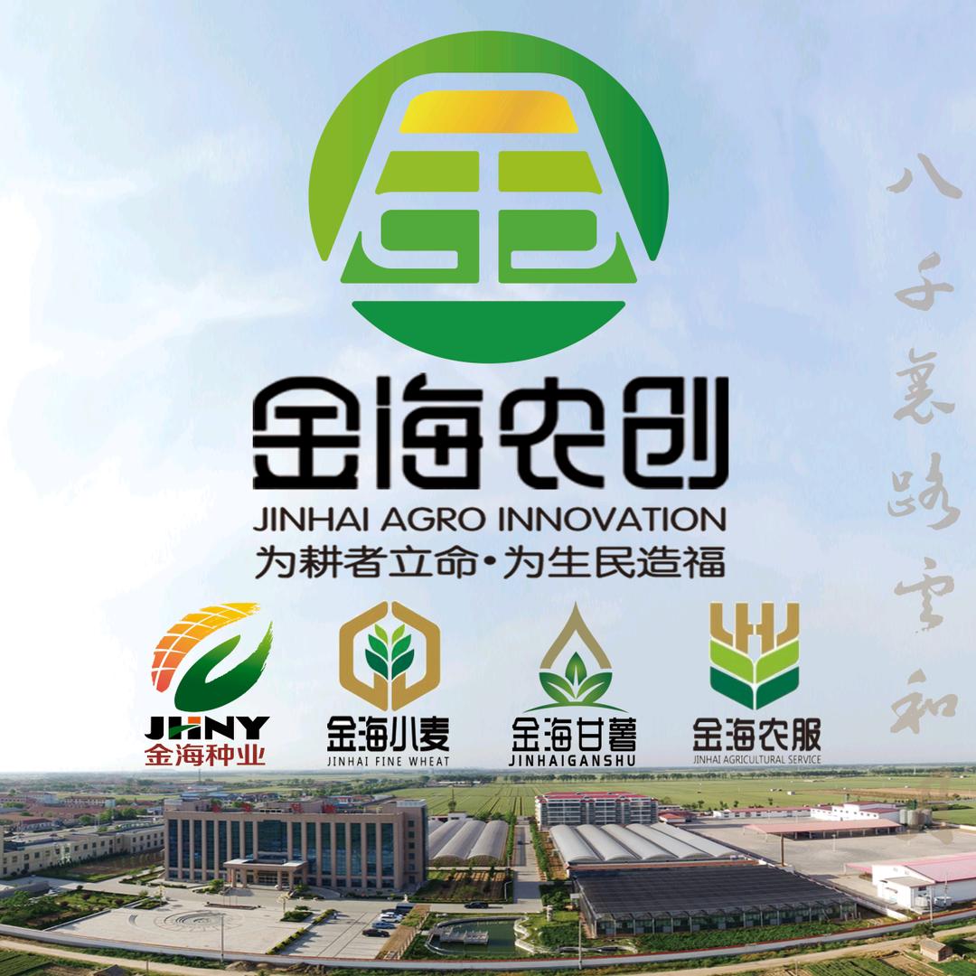 金海农创首席品牌官