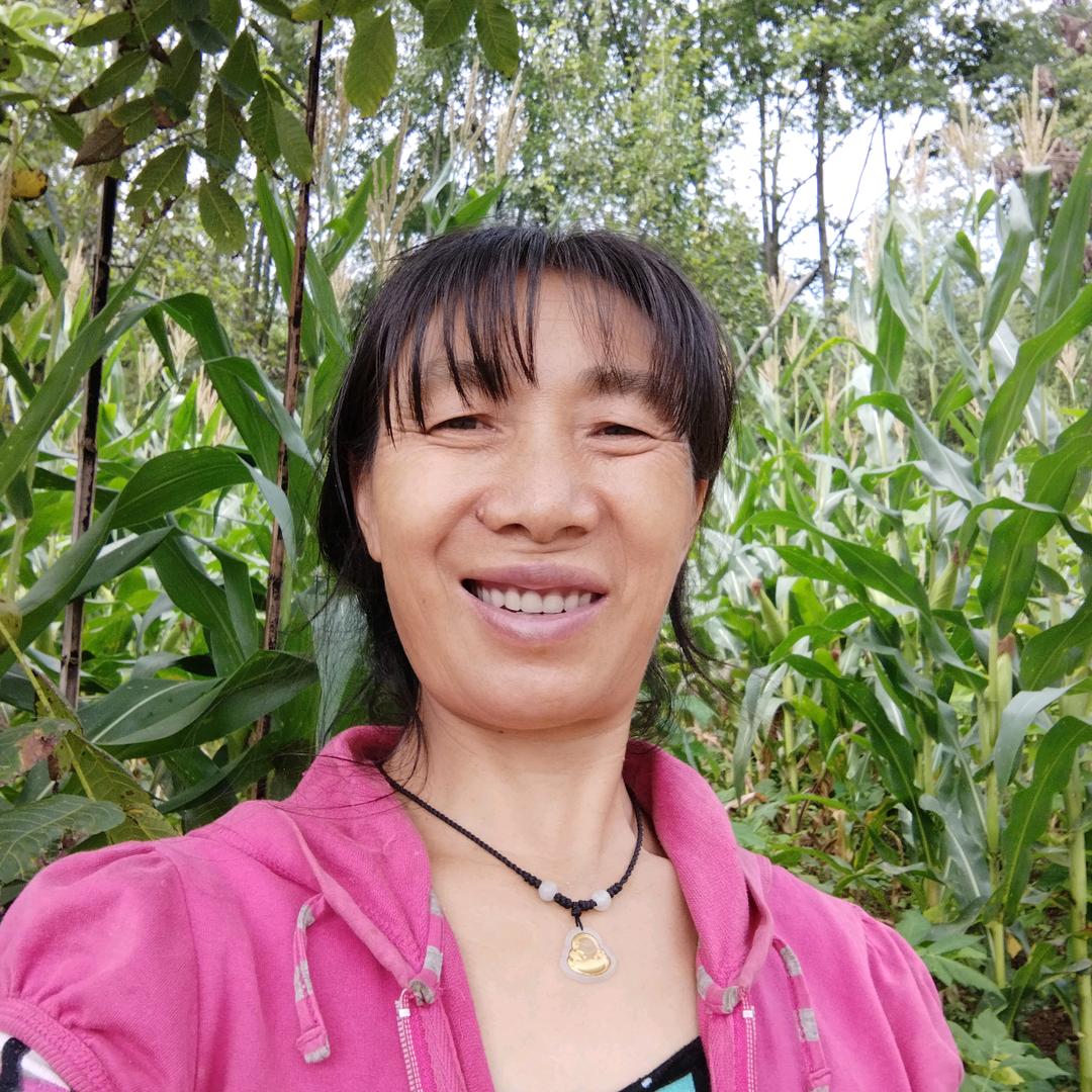 徐大姐(晚上八点半首播)