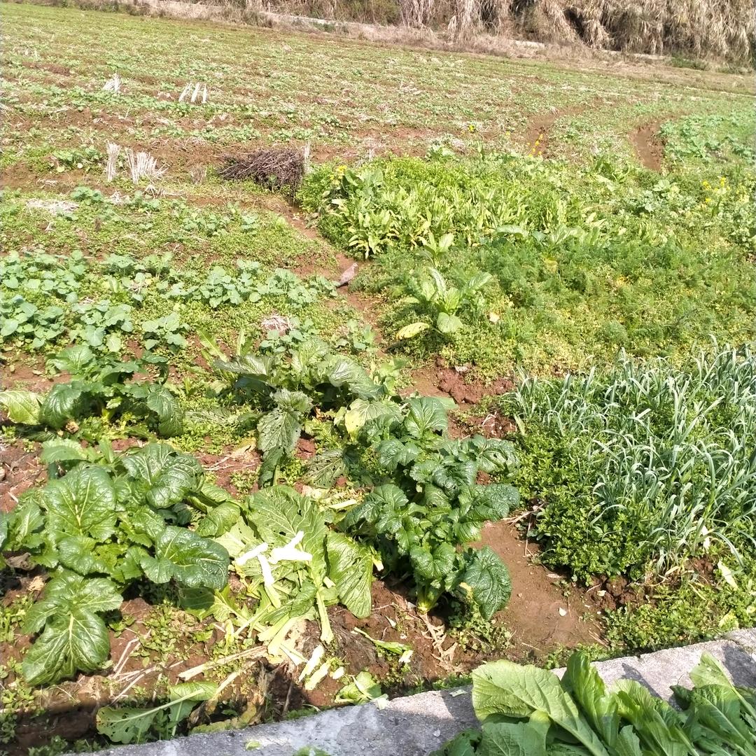重生之我在宜章骑摩托