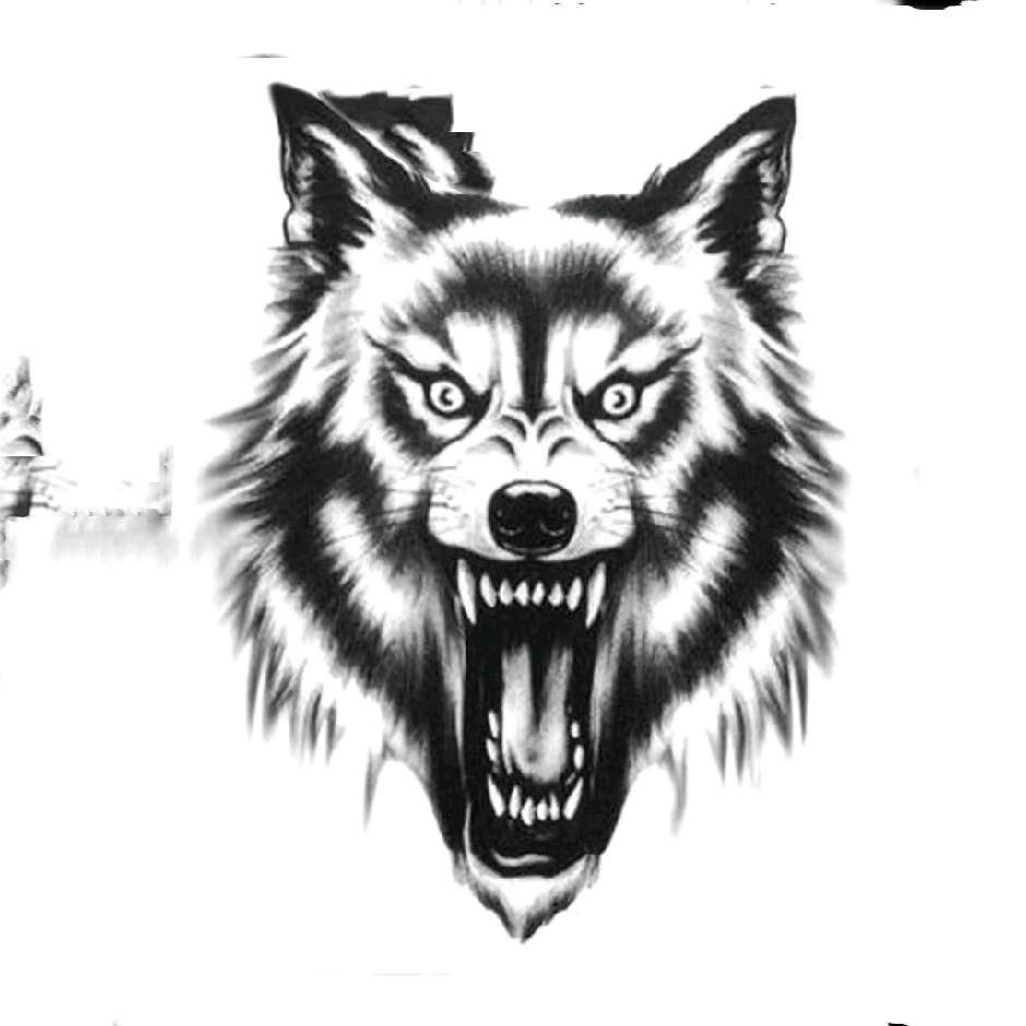 荒野俱乐部----苍狼