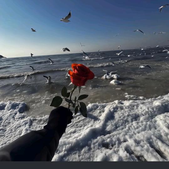 生鲜豪清真食品有限公司