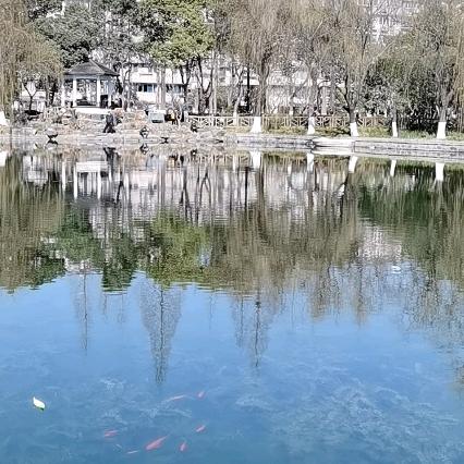 天天头像