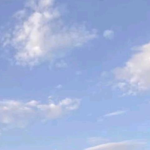 豆包⁴⁰⁹