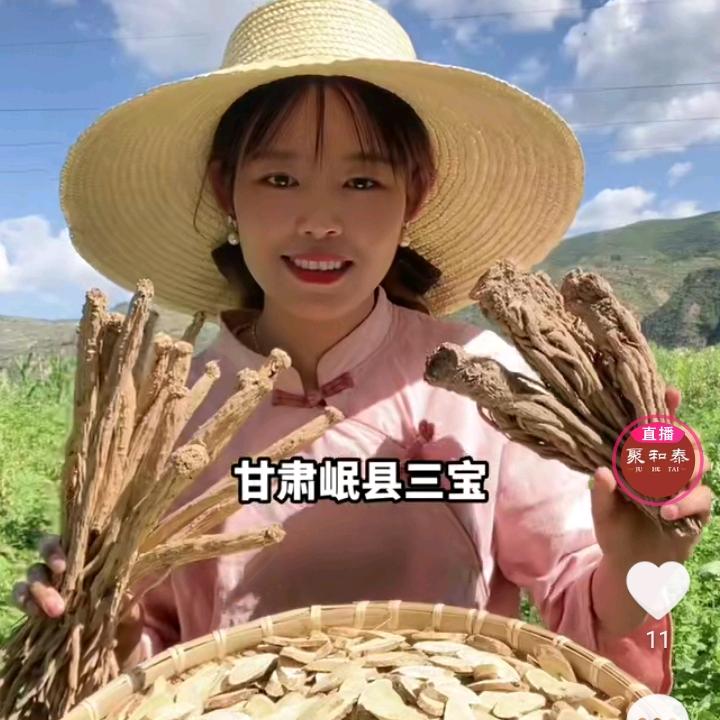 甘肃岷县慧子（原产地黄芪）