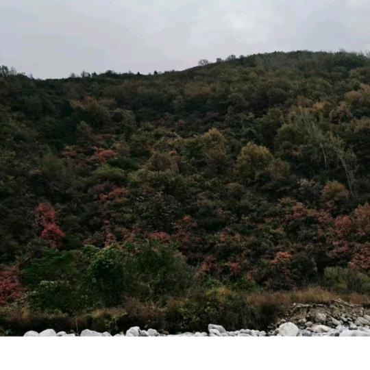 郭不其然，郭琦峰