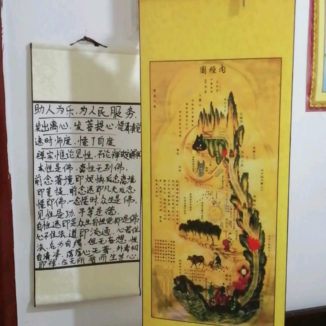 人体科学探索研究记录