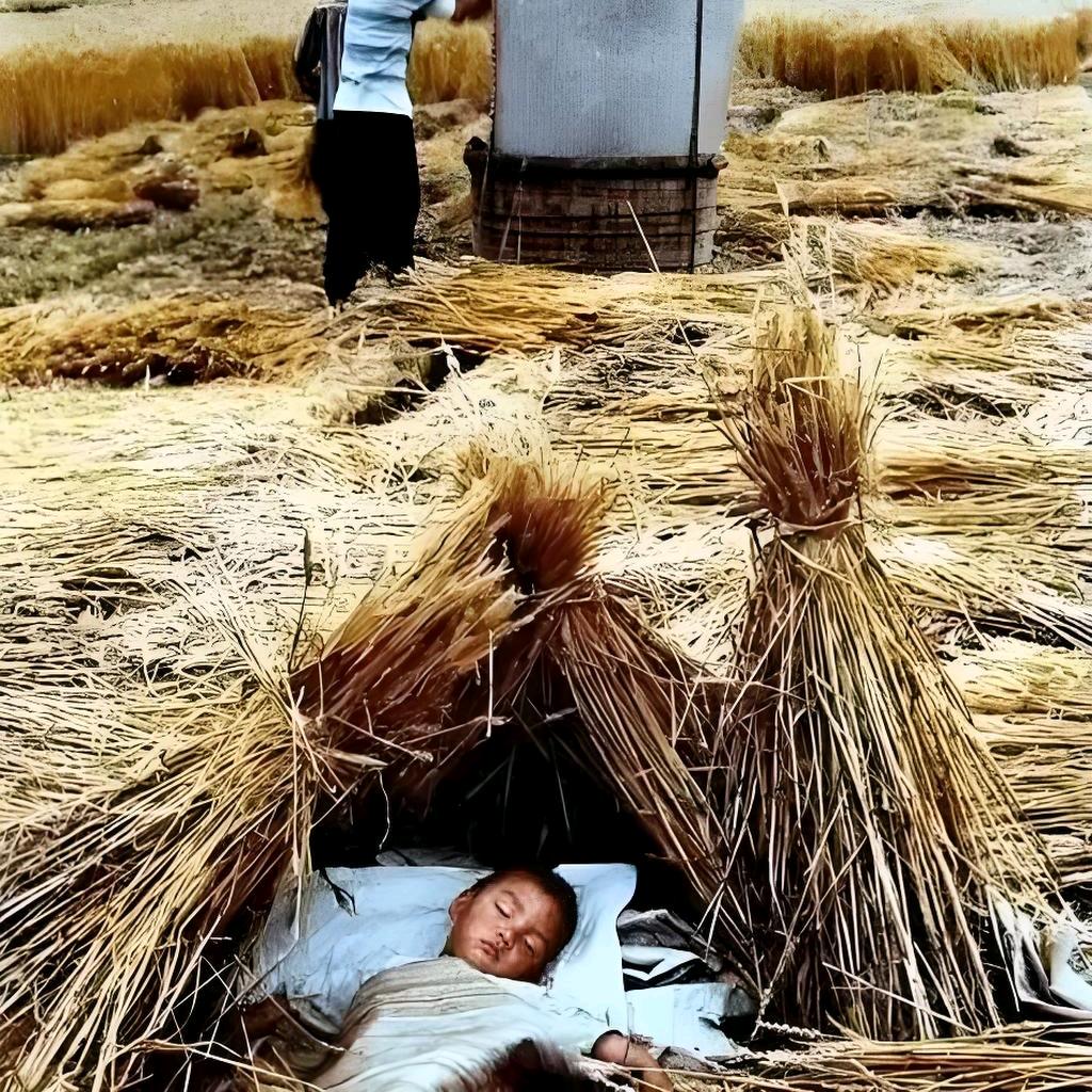 洪家庄子那几份才流