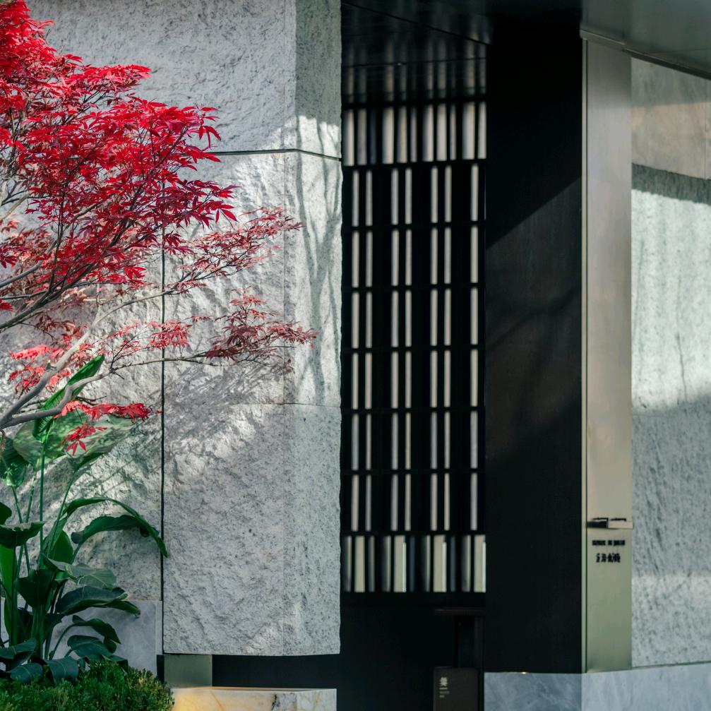 龙湖山河颂--李信