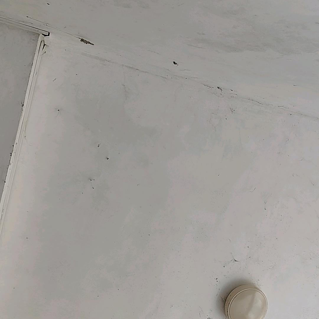 从此不再受伤害