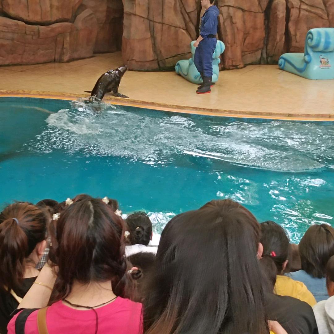 大海哥