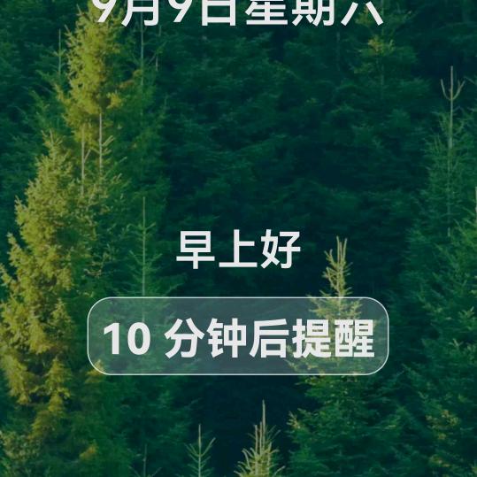 石榴