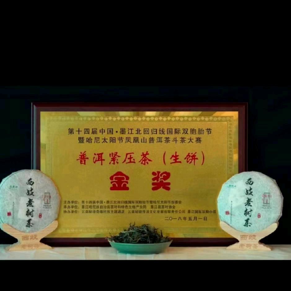 云南普洱墨江生态西岐老树茶