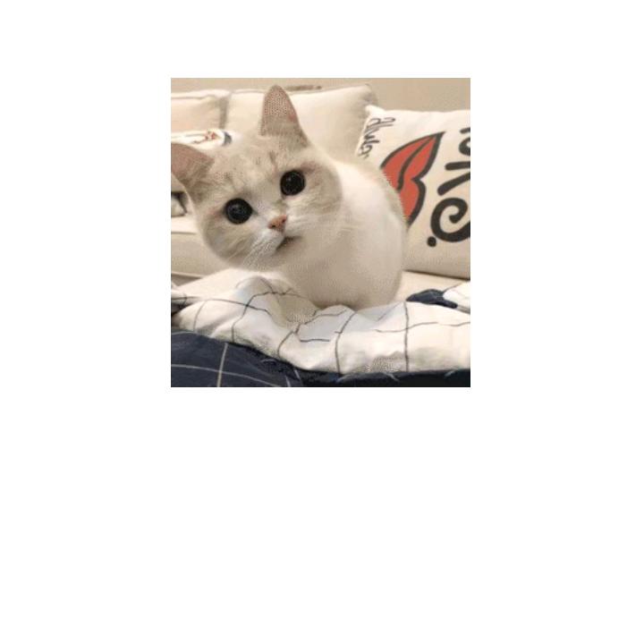 栗栗阿丁