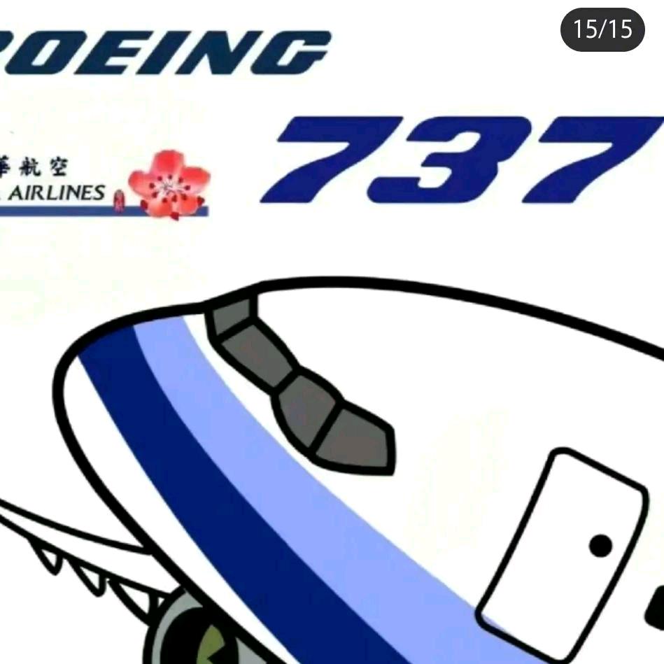 波音737（飞友）