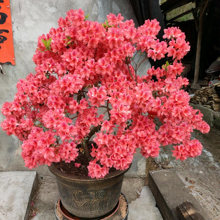 十字路口2844