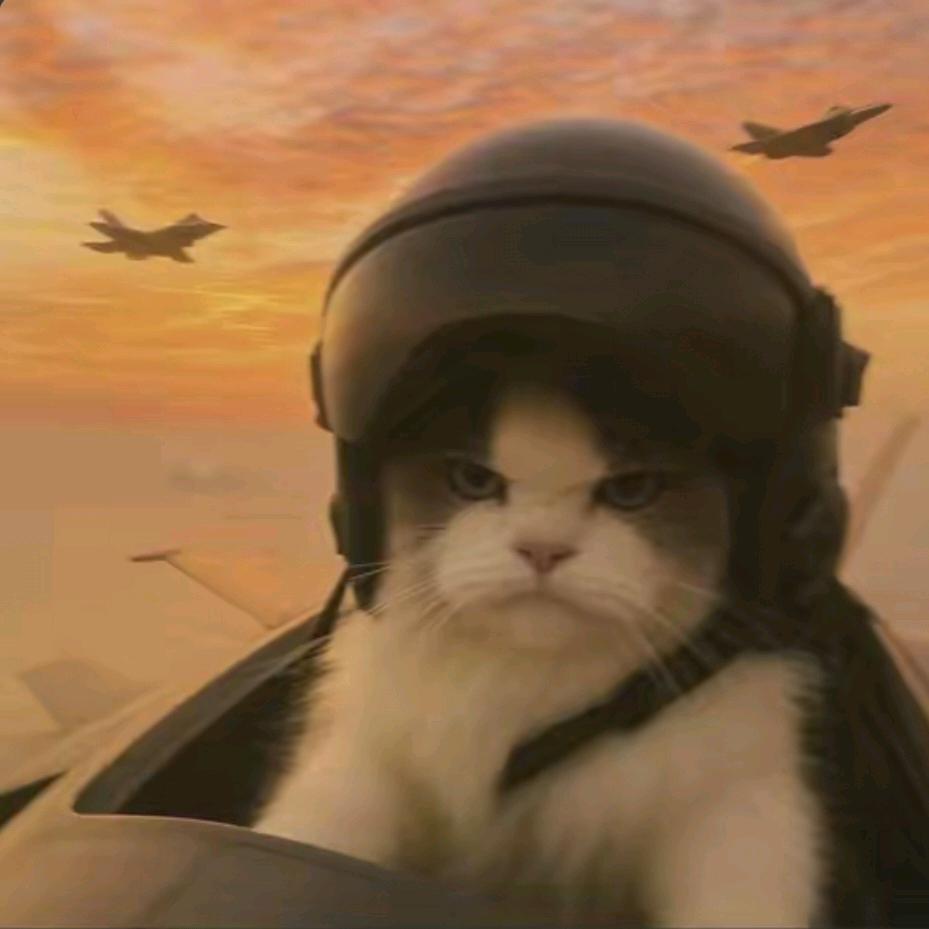 杭伊（三角洲行动）