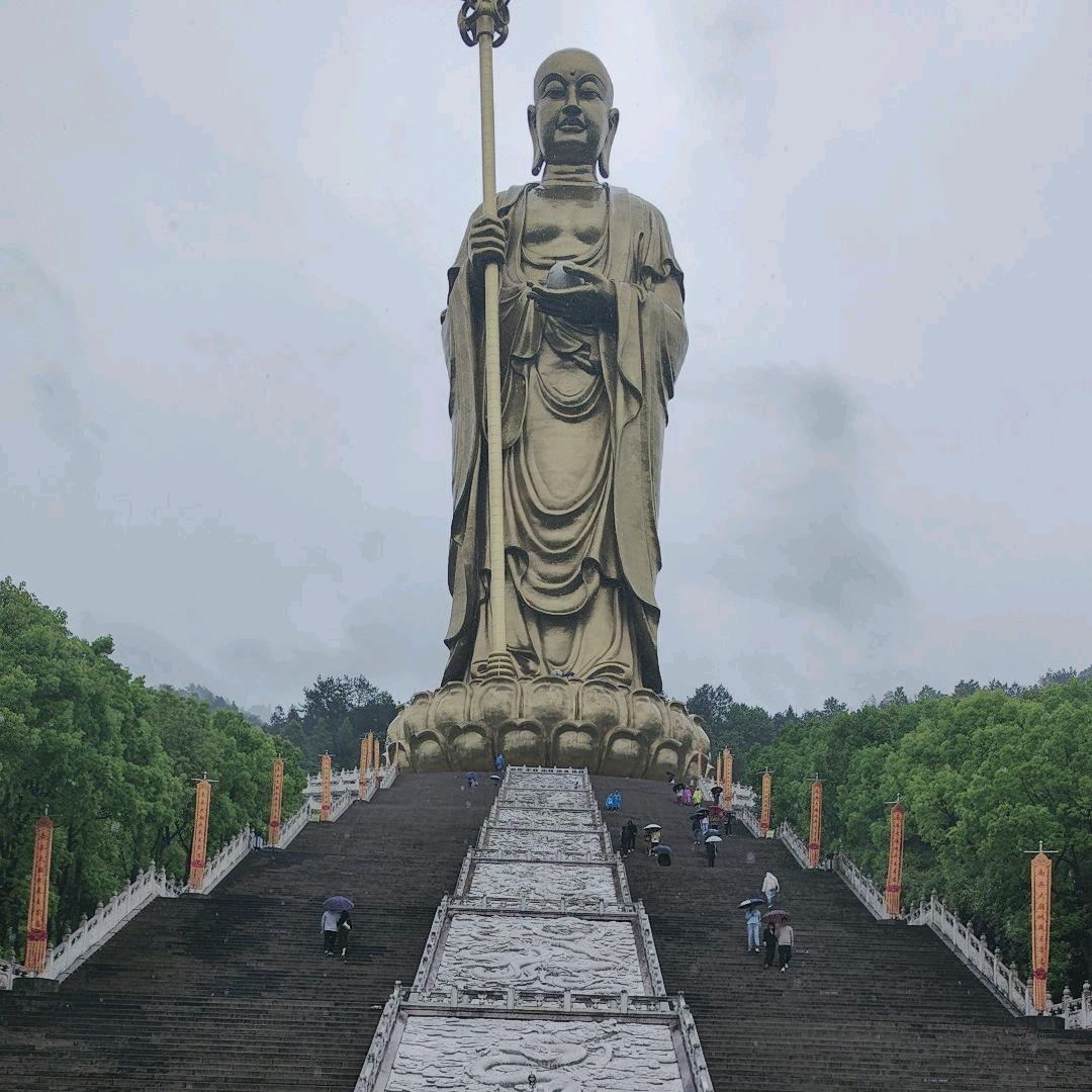 🔥涛仔🔥