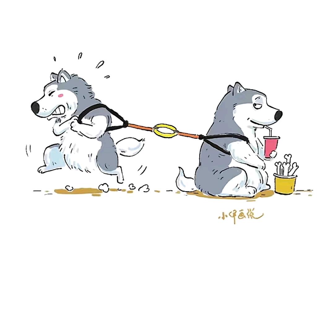 我的不打扰是你想要的吗