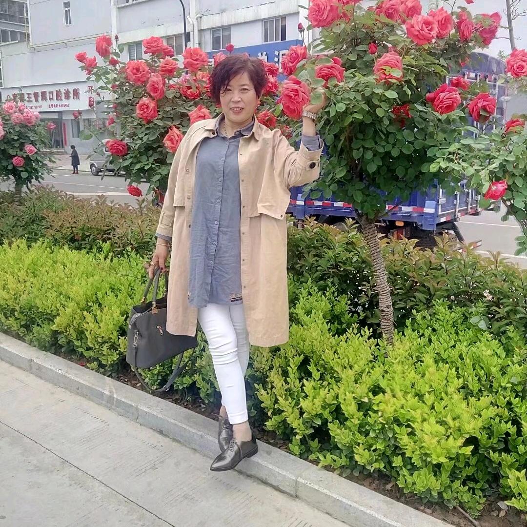 樱花盛开
