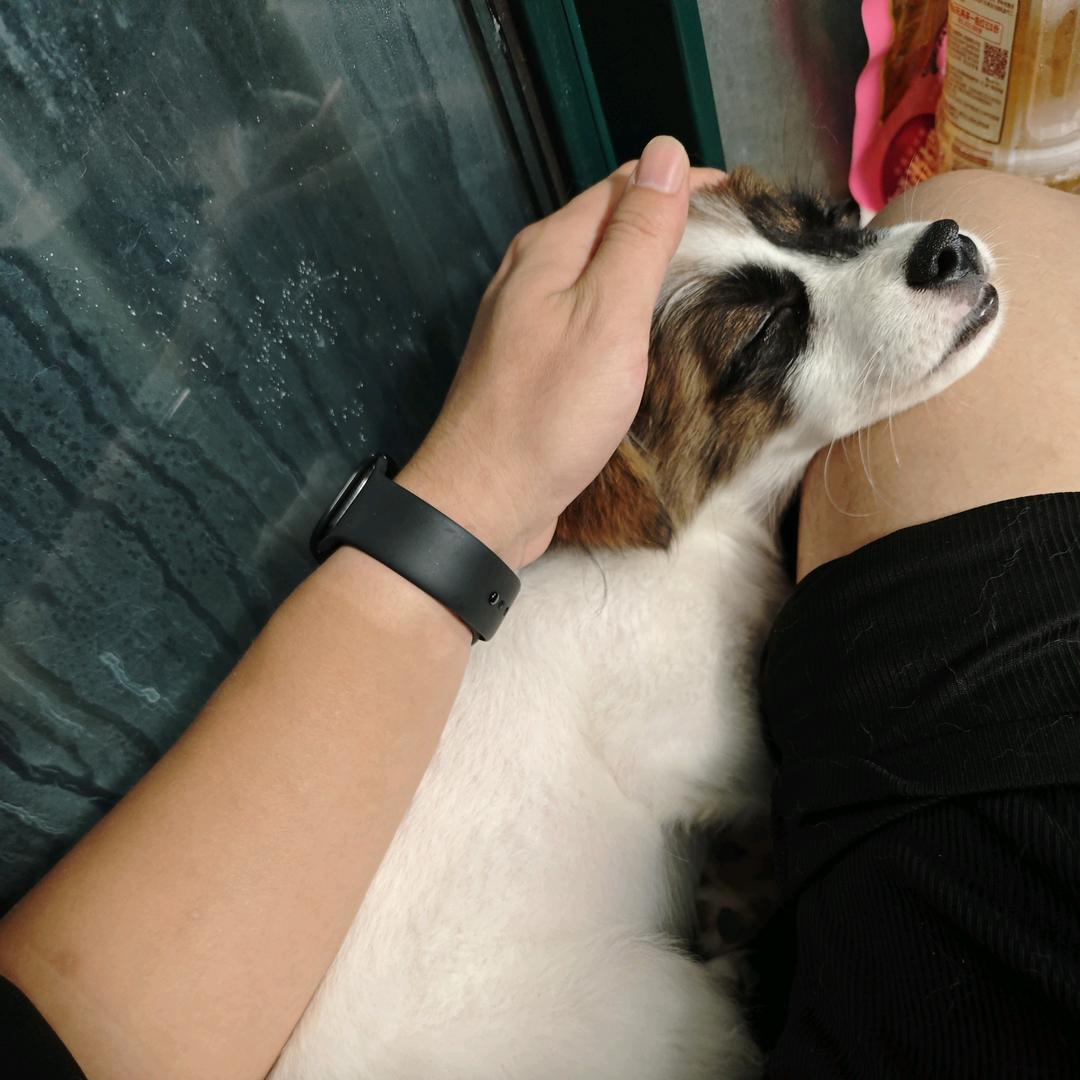 忘忧君