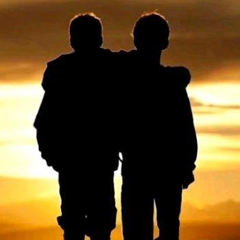 哥俩的摆摊日记