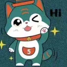 那只猫的口袋