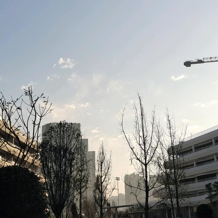 栋發森林