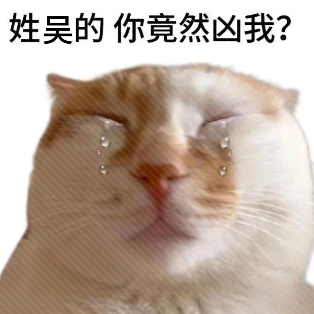 刻薄厌蠢阴暗母蟑螂