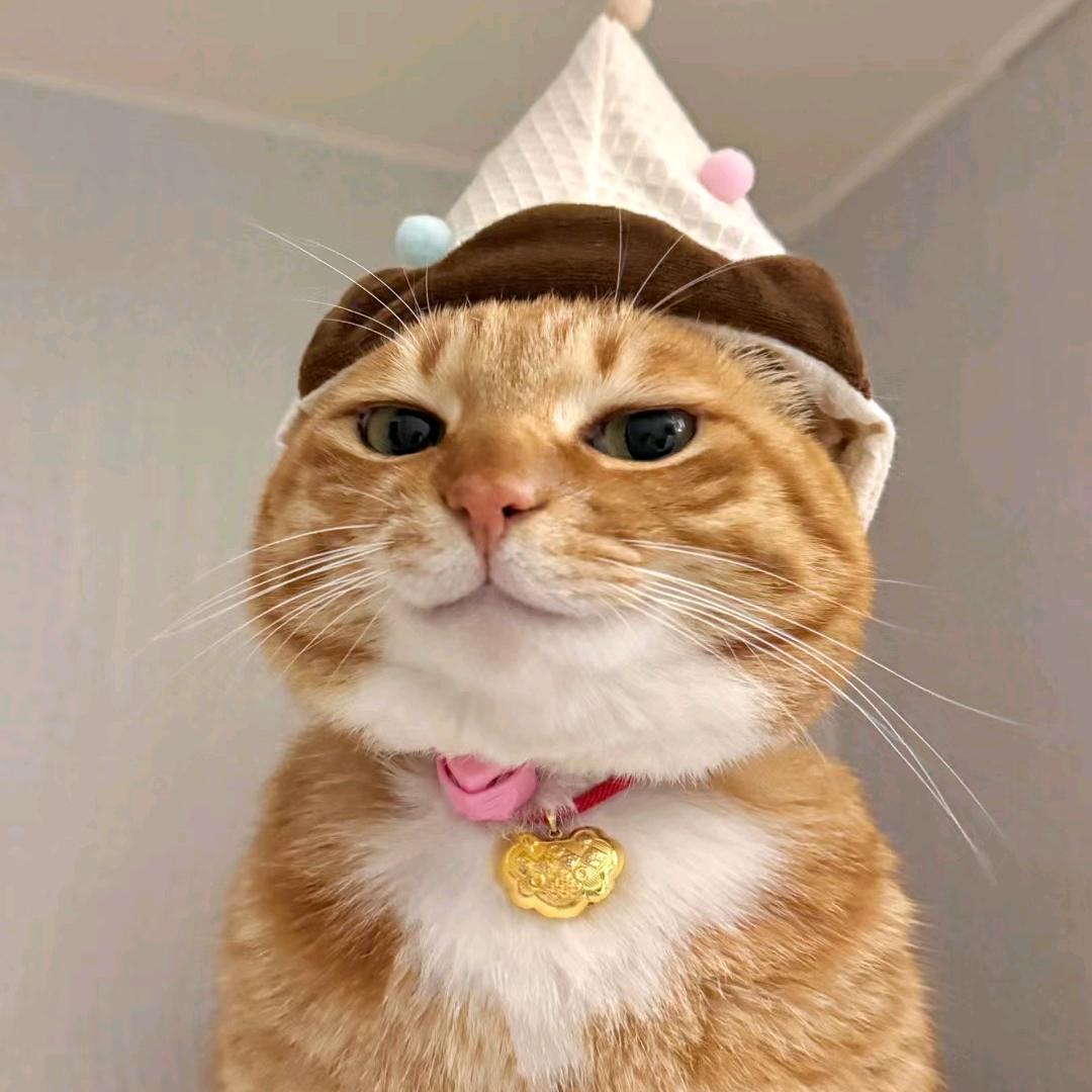 №1️⃣2️⃣3️⃣