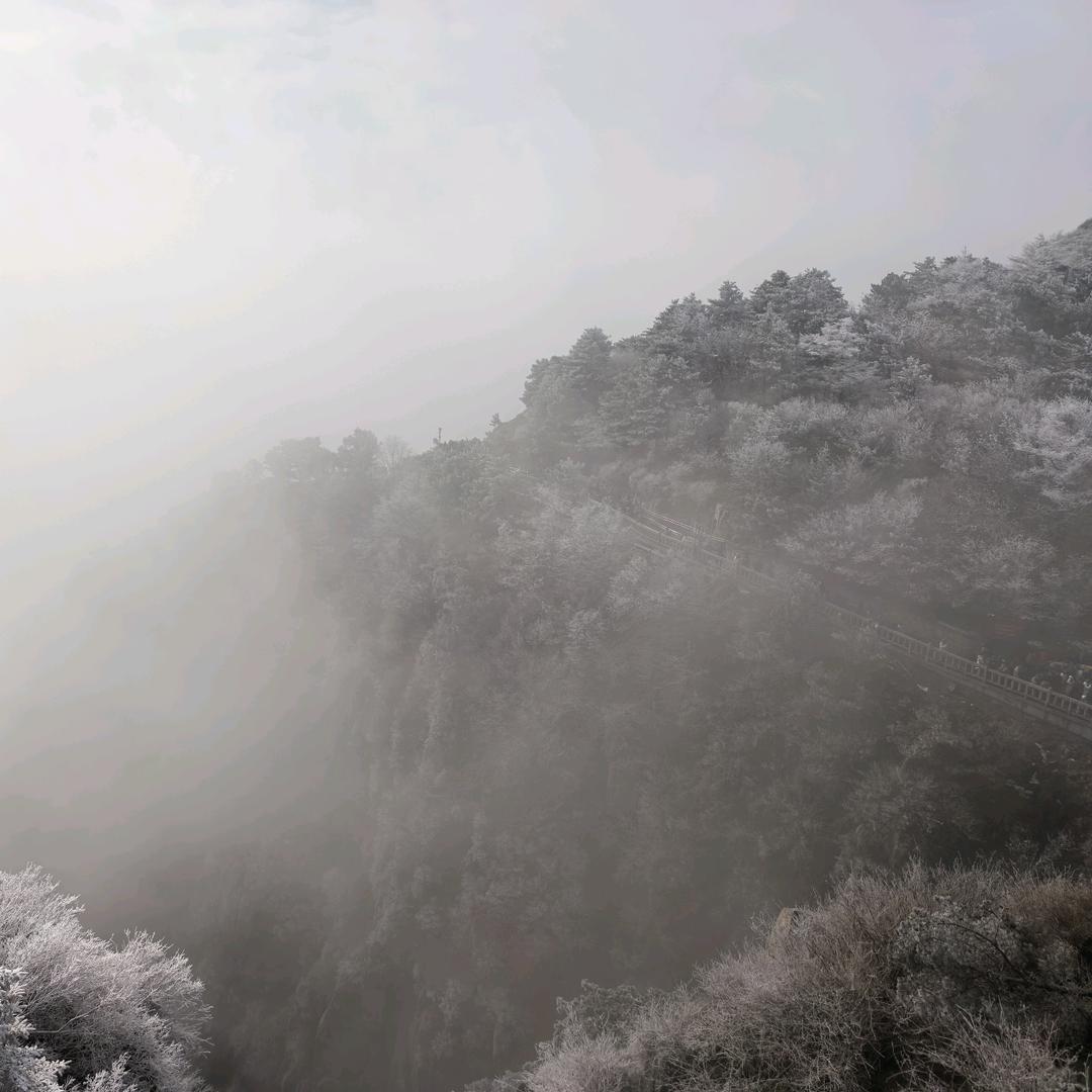 水手