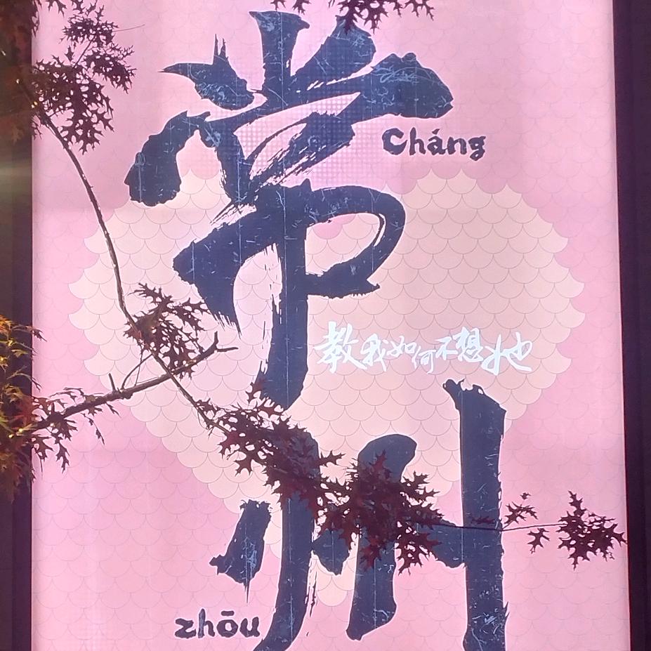 东哥（🐑条🐯）