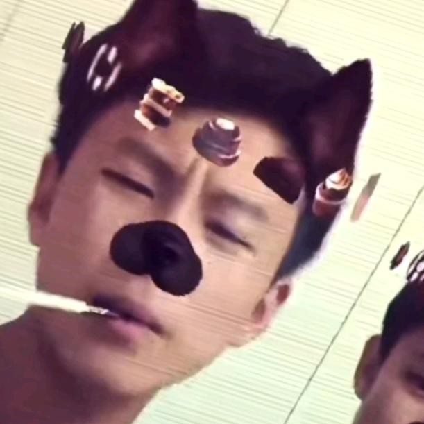 十一