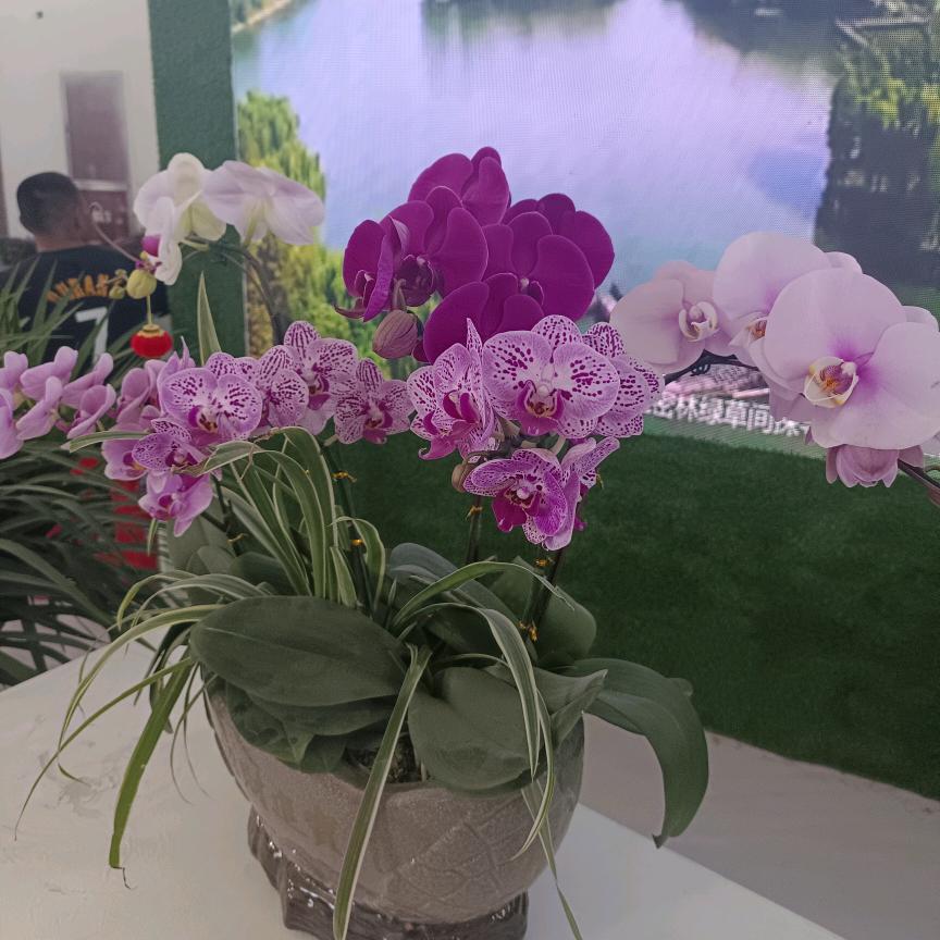 余生🌻随心❤️