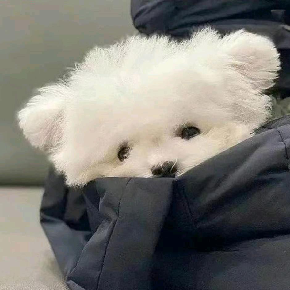 糯米小麻花