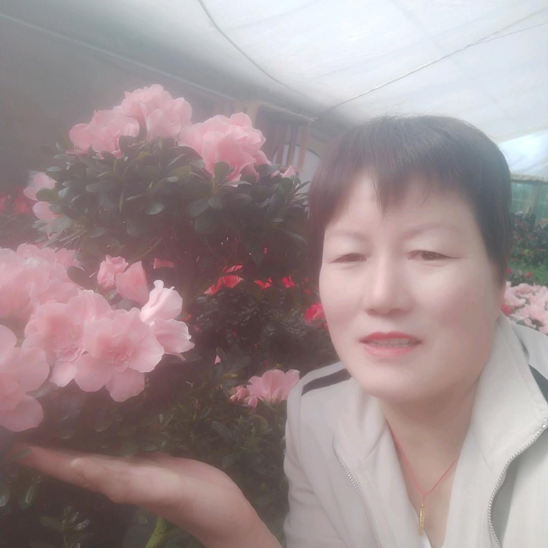 李小红