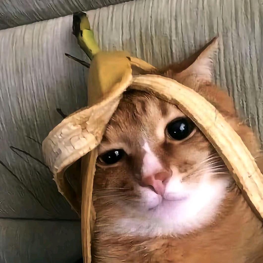 枫言秋