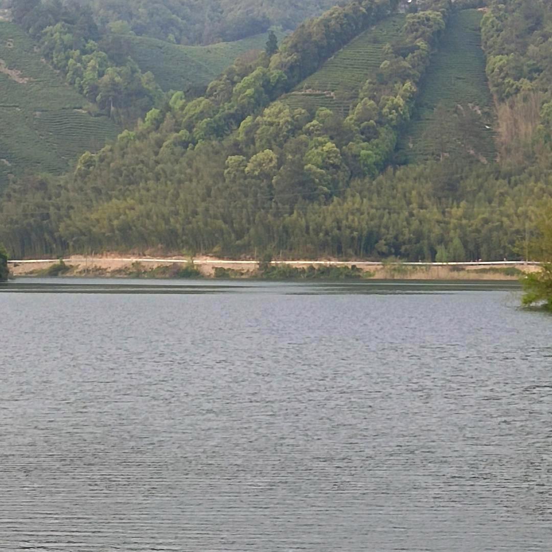 革姐🌹🌹🌾🌾