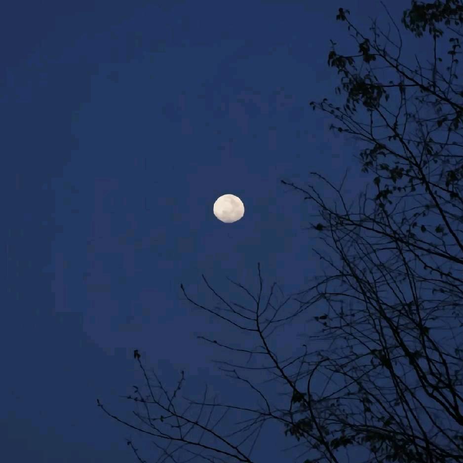 史到淋头还搅便